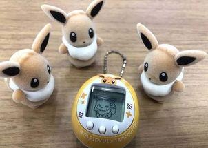 宠物网红培养方法有哪些,揭秘宠物网红培养全攻略